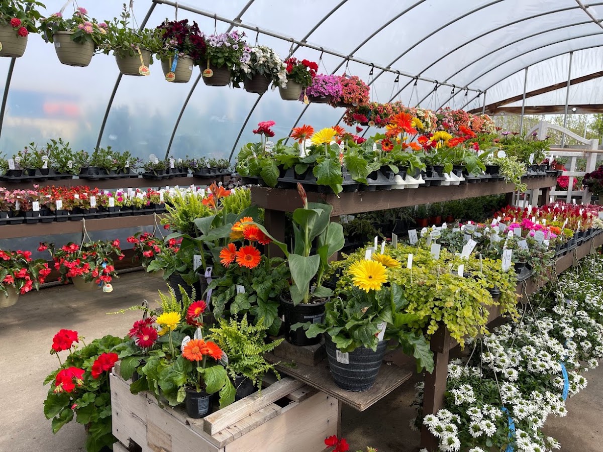 S & S Landscaping in Fargo, North Dakota