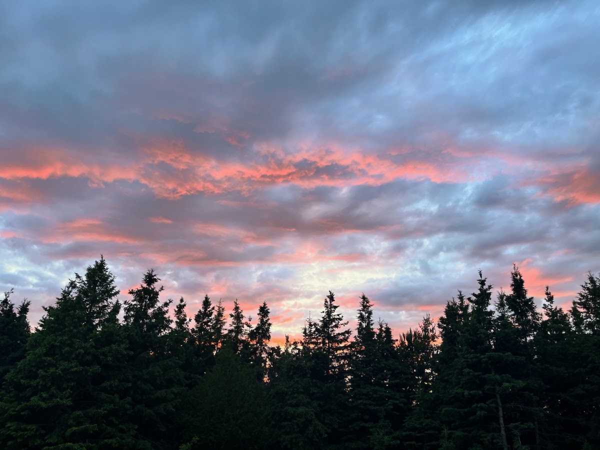 Sacred Pines Tree Farm in Brookston, Minnesota