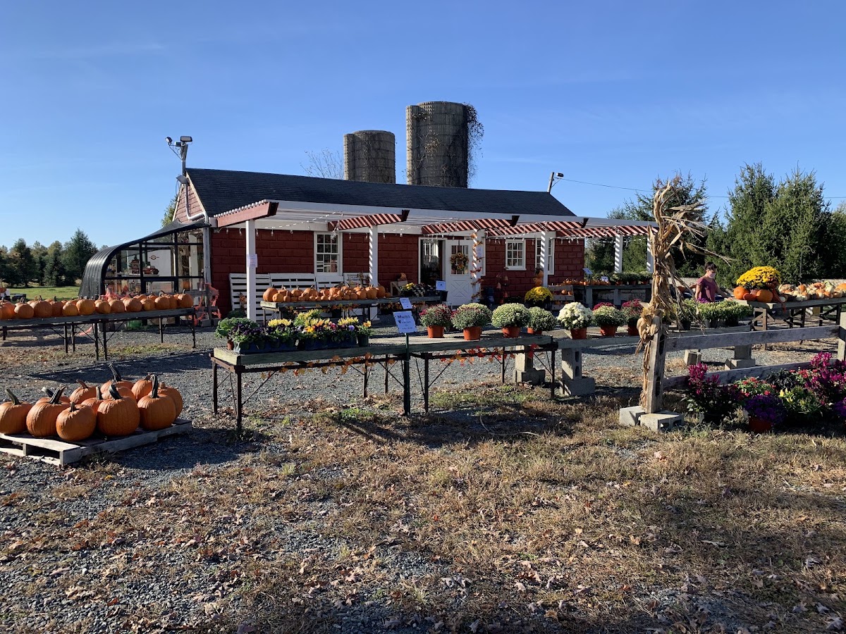 Sandy Creek Farms in Springfield, New Jersey