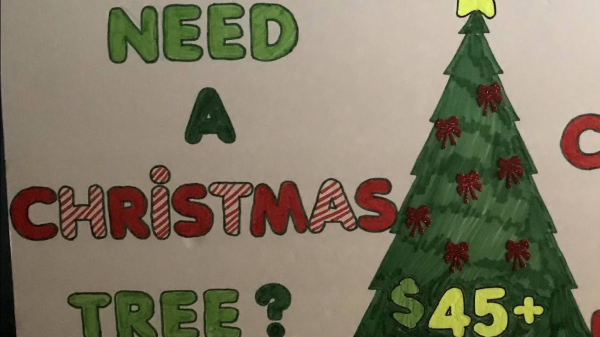 Sandys Christmas Tree Stand/ MUNCHIE MART XMAS TREES in Manchester, New Hampshire