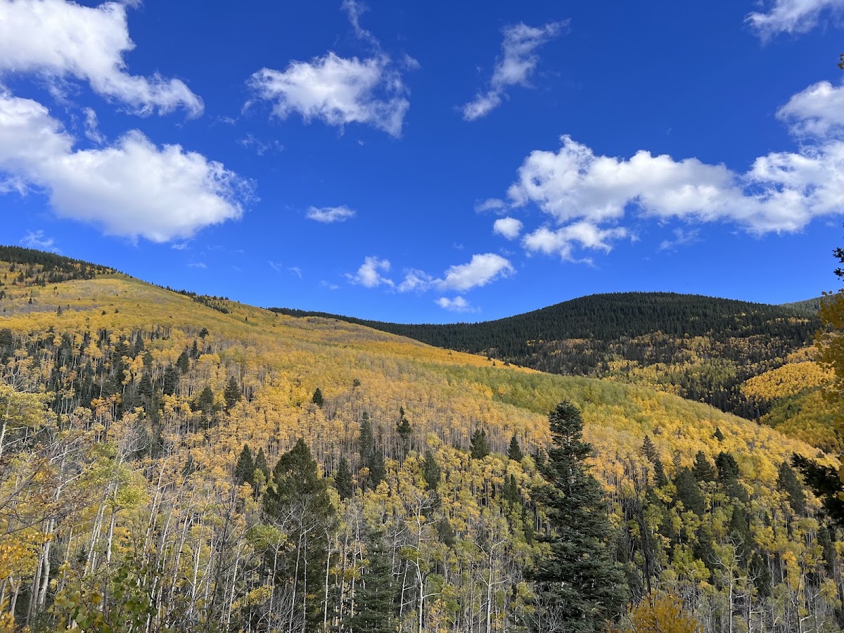 Santa Fe National Forest in Los Alamos, New Mexico
