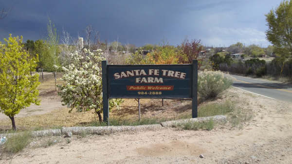 Santa Fe Tree Farm in Santa Fe, New Mexico