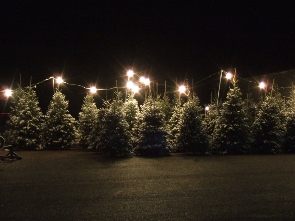Santa's Christmas Trees in Grapevine, Texas