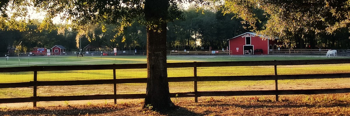 Santa’s Farm & Christmas Tree Forest in Eustis, Florida