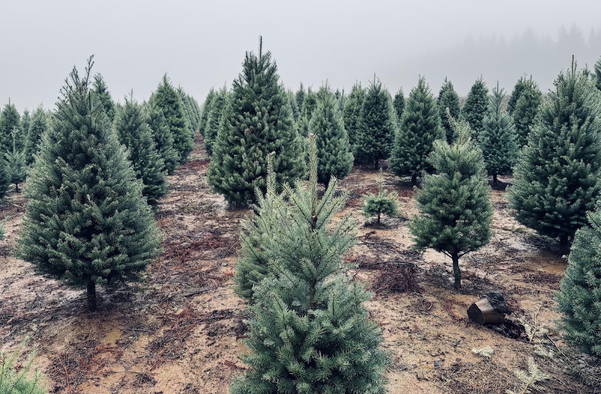 Schmidlin Farms in Banks, Oregon