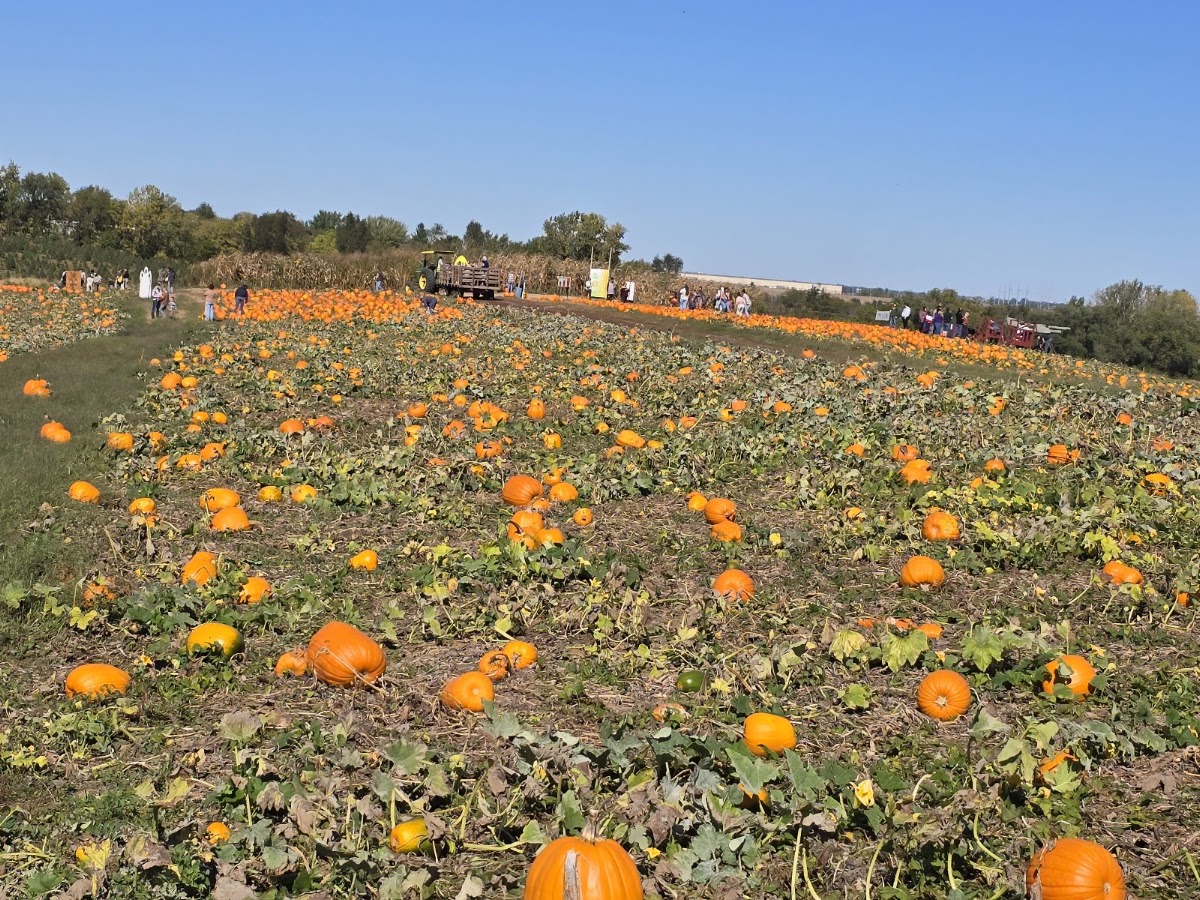 Schweizer Orchards in Saint Joseph, Missouri