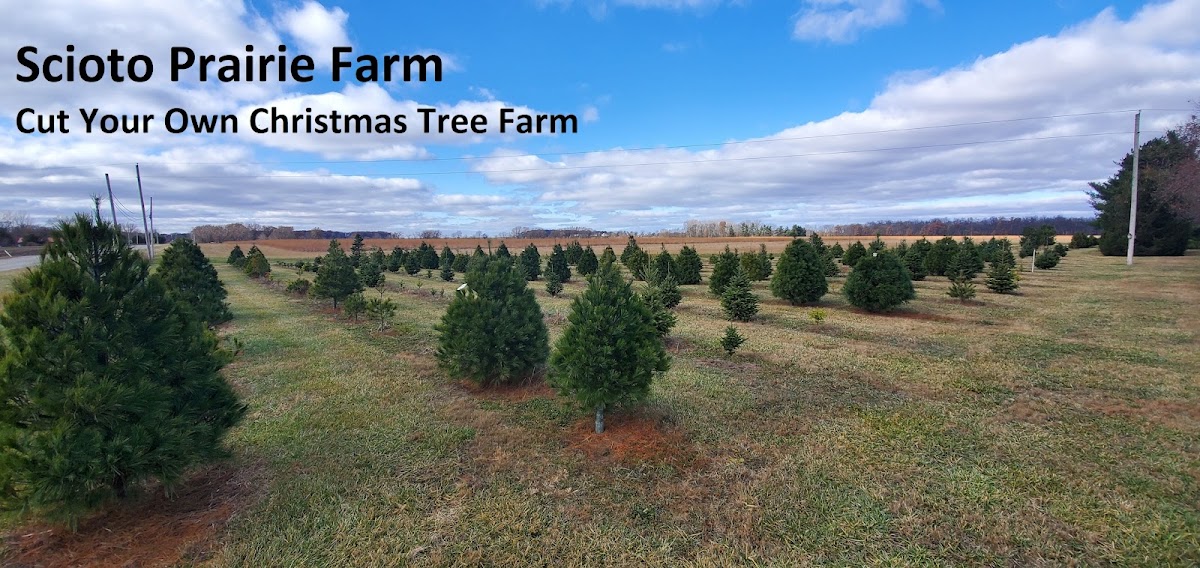 Scioto Prairie Farms in Marion, Ohio