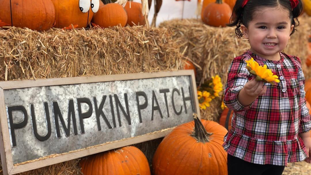 Seasonal Farms in Phoenix, Arizona