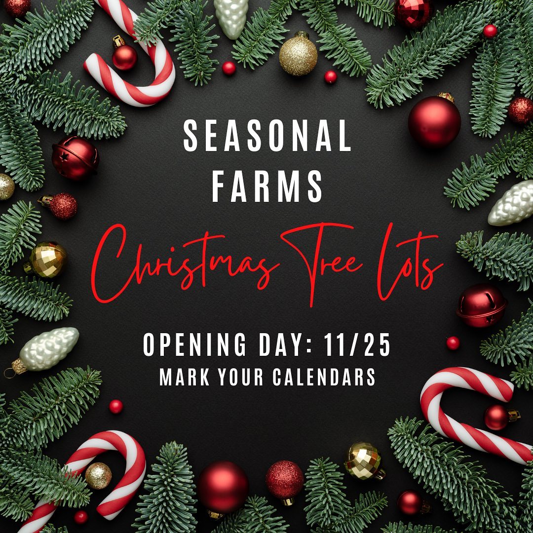 Seasonal Farms in Queen Creek, Arizona