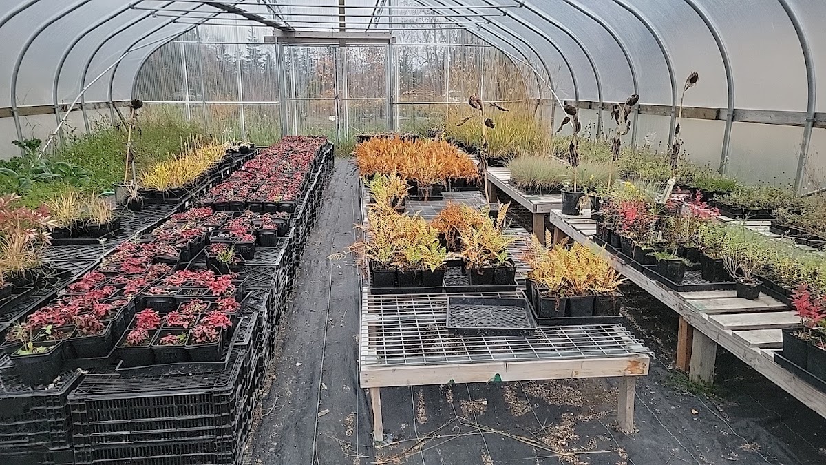 Seed-N-Tree Farms in Palmer, Alaska