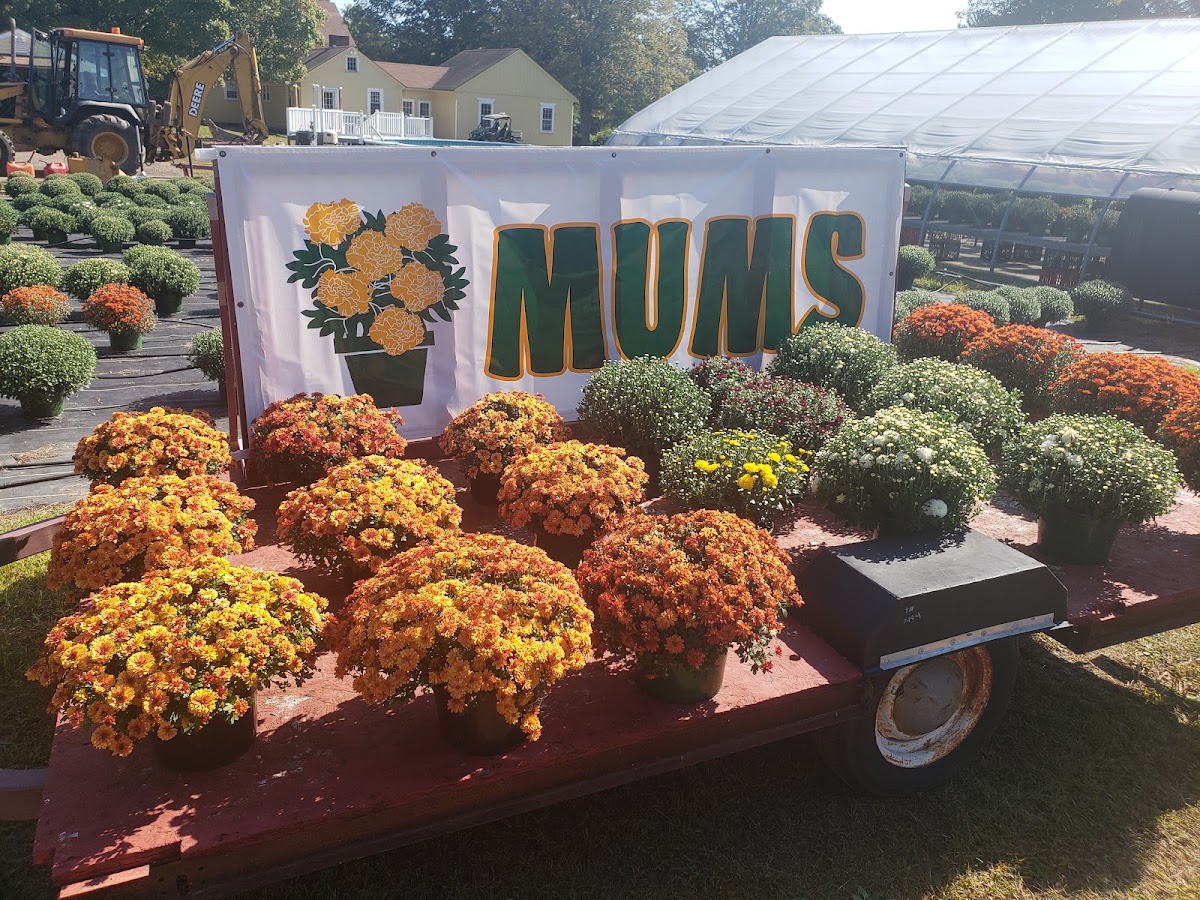 Seven Cedars Farm in Smithfield, Rhode Island