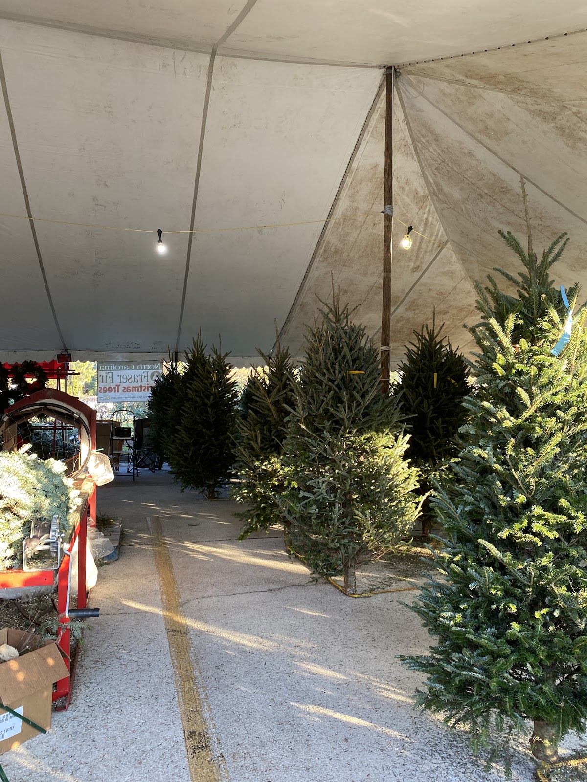 Severt Tree Farm in Palm Valley, Florida