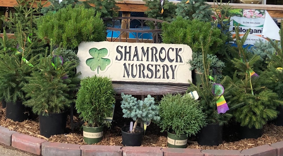 Shamrock Nursery - O'Neill in O'Neill, Nebraska