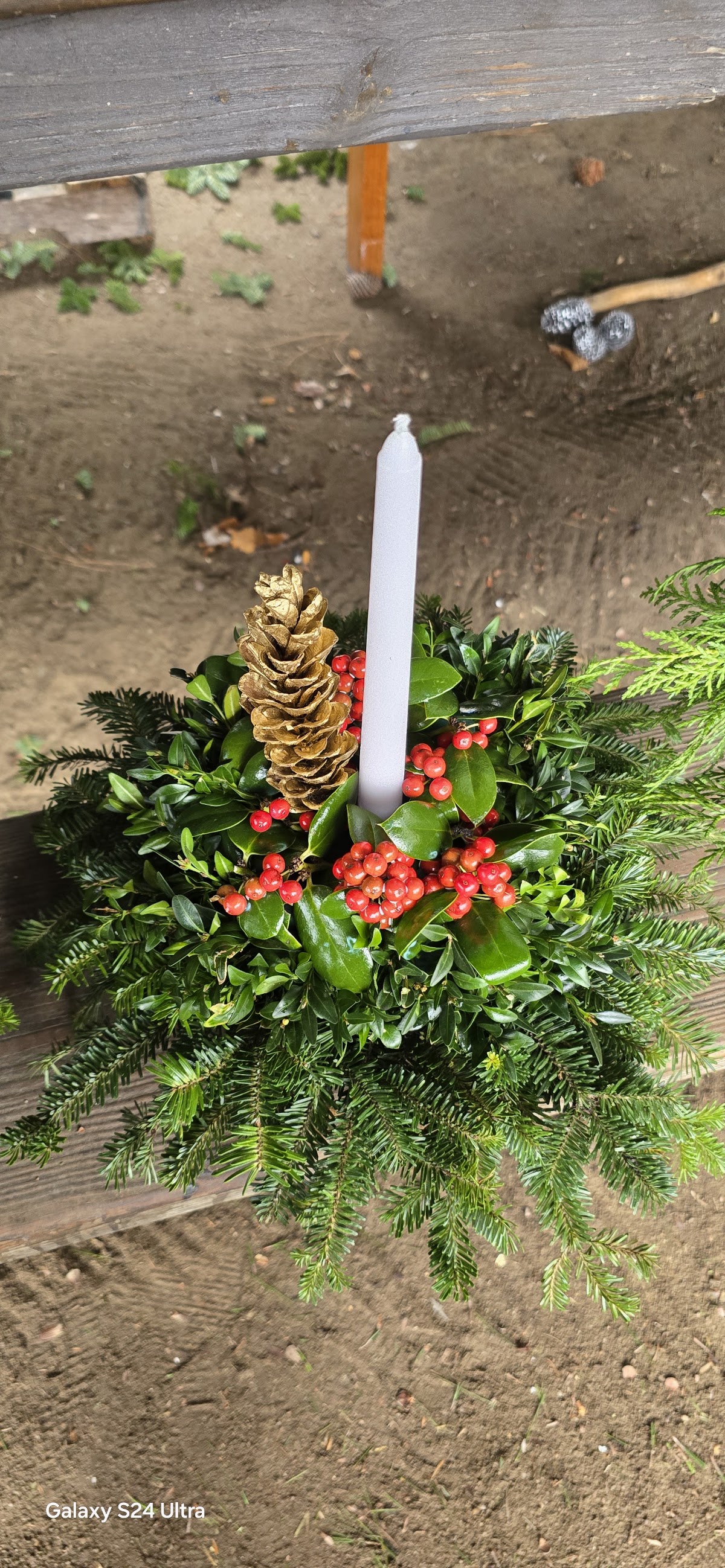 Sharpe Tree Farm in Rocky Mount, North Carolina