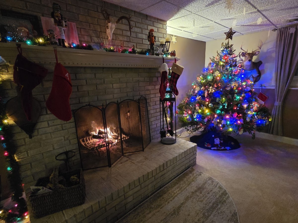 Shelby Christmas Tree Farm & Nursery in Shelbyville, Kentucky