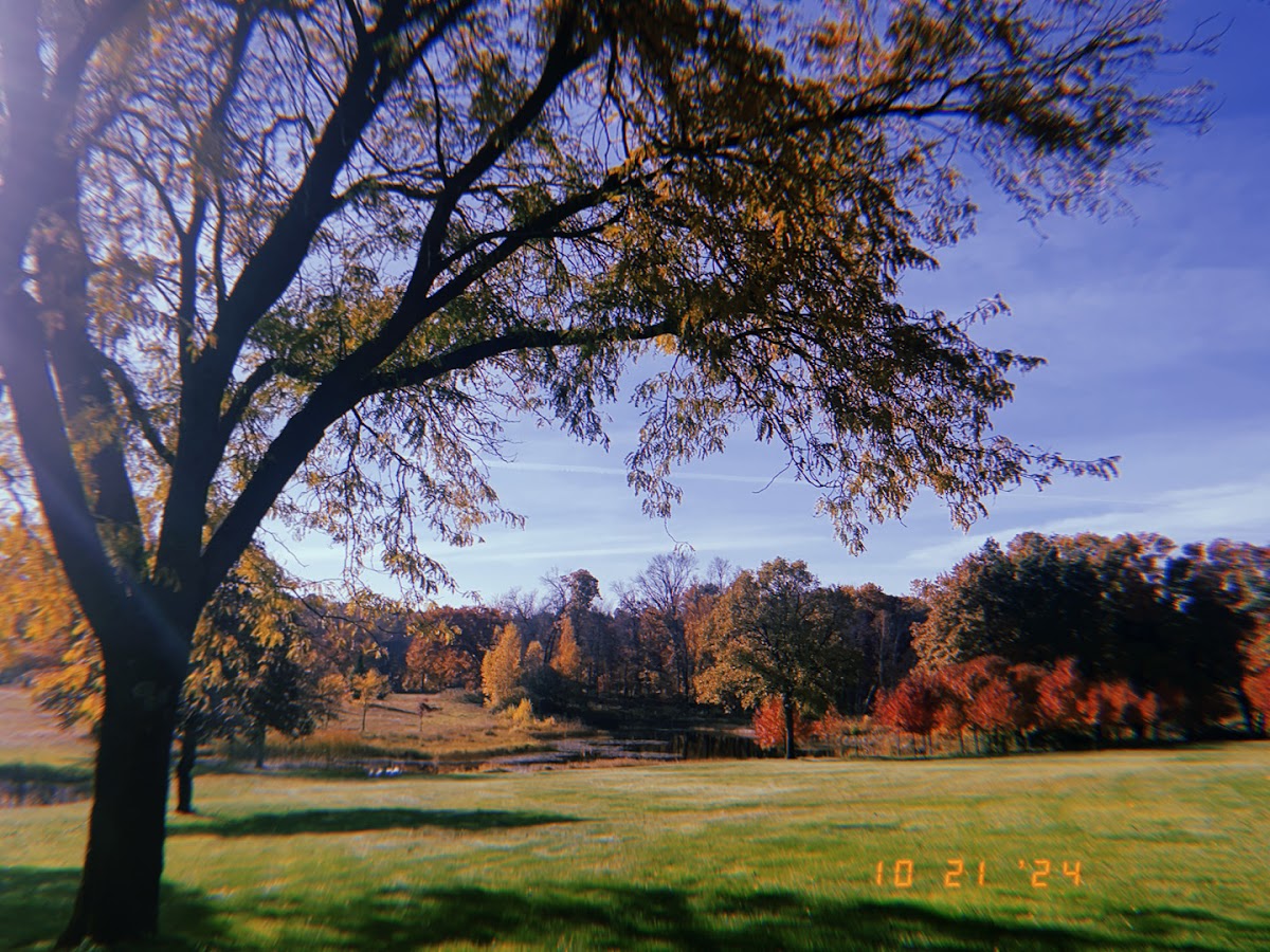 Shermik Tree Farms in Stacy, Minnesota