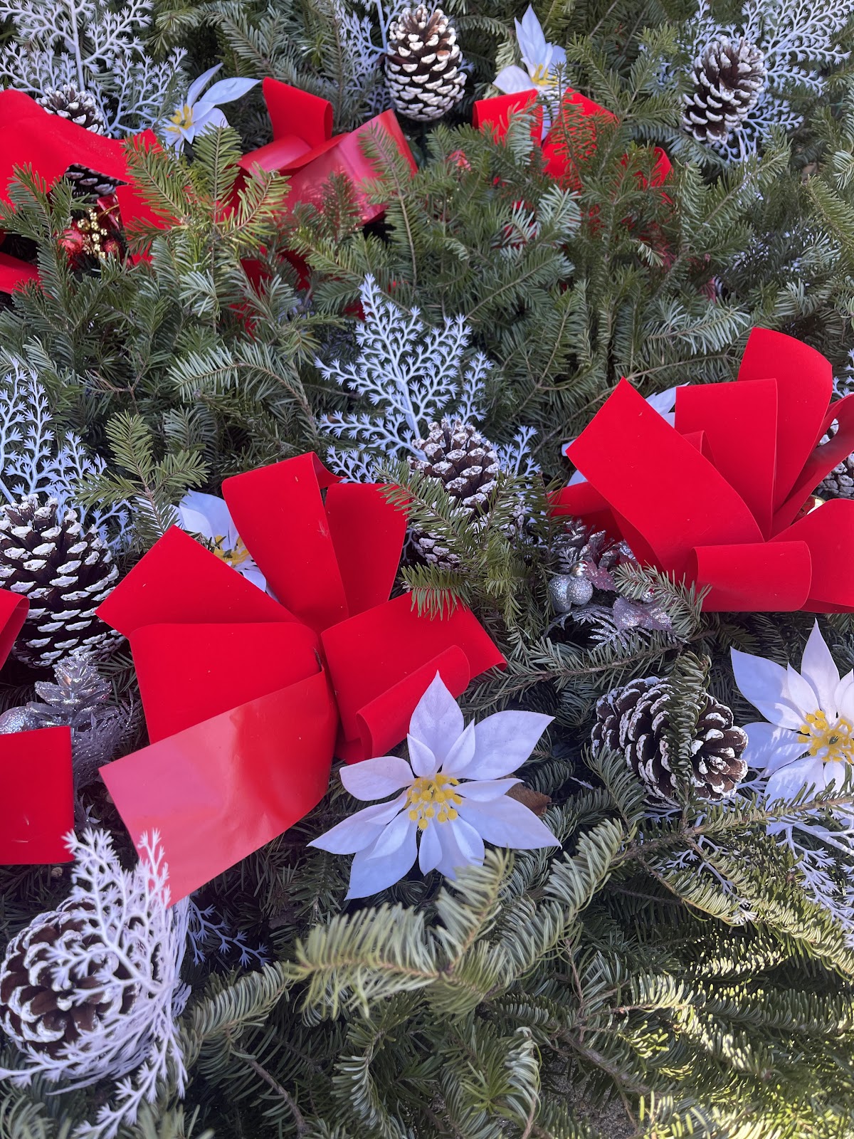 Silletti Bros. Xmas Trees in Hoboken, New Jersey
