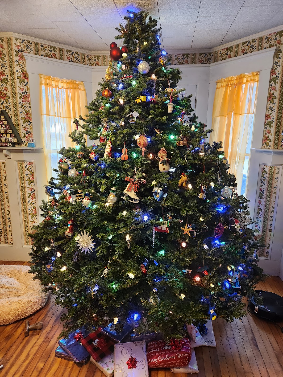 Silver Cricket Christmas Tree Farm in Lancaster, New Hampshire