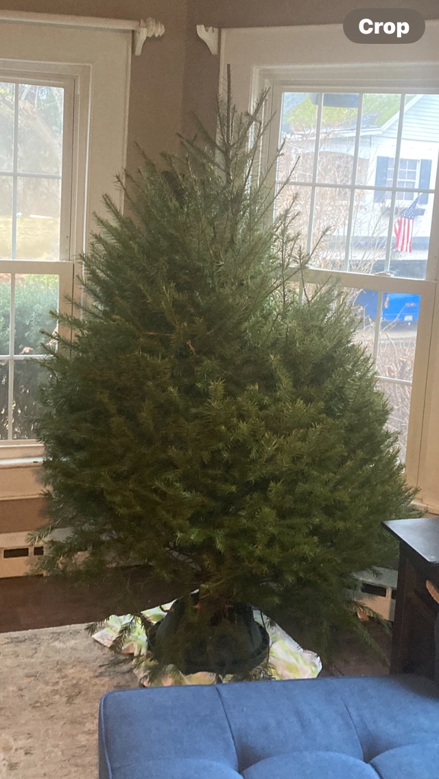 Simoncelli Tree Farm in Clarks Summit, Pennsylvania