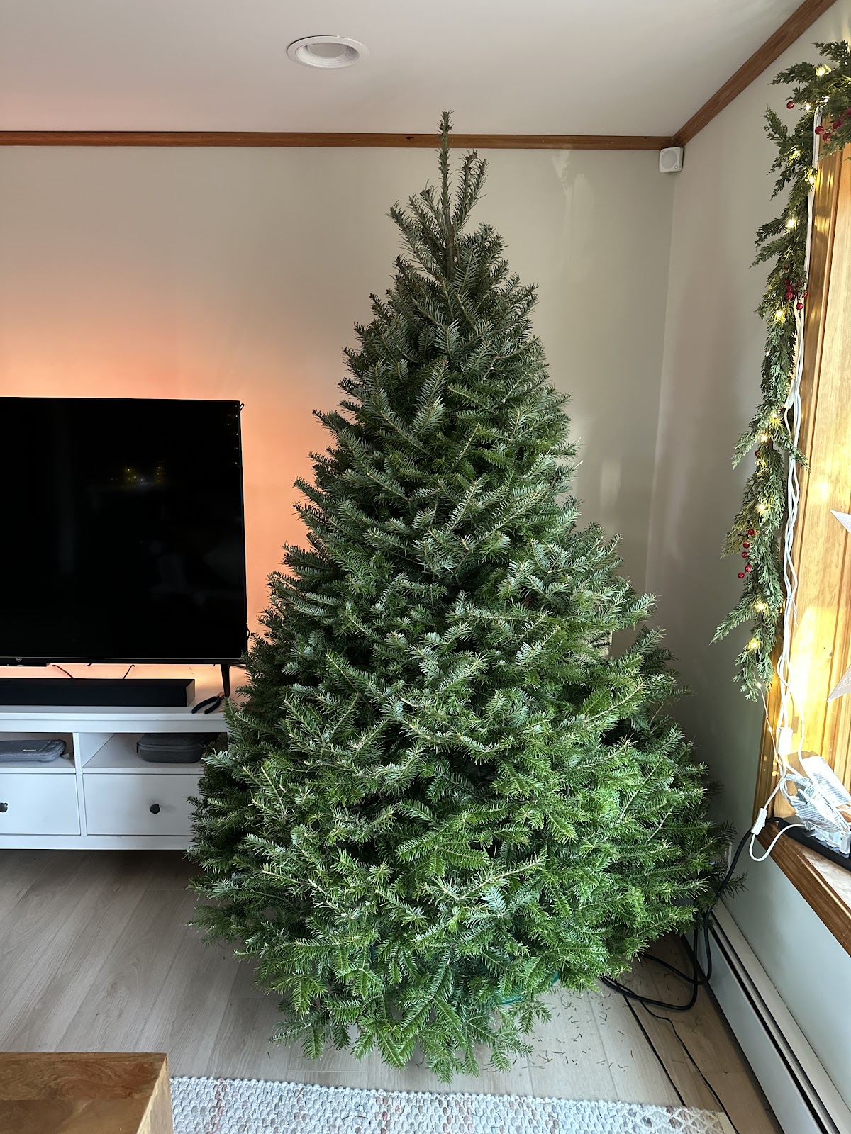 Sirois Christmas Tree Farm in Farmington, Maine
