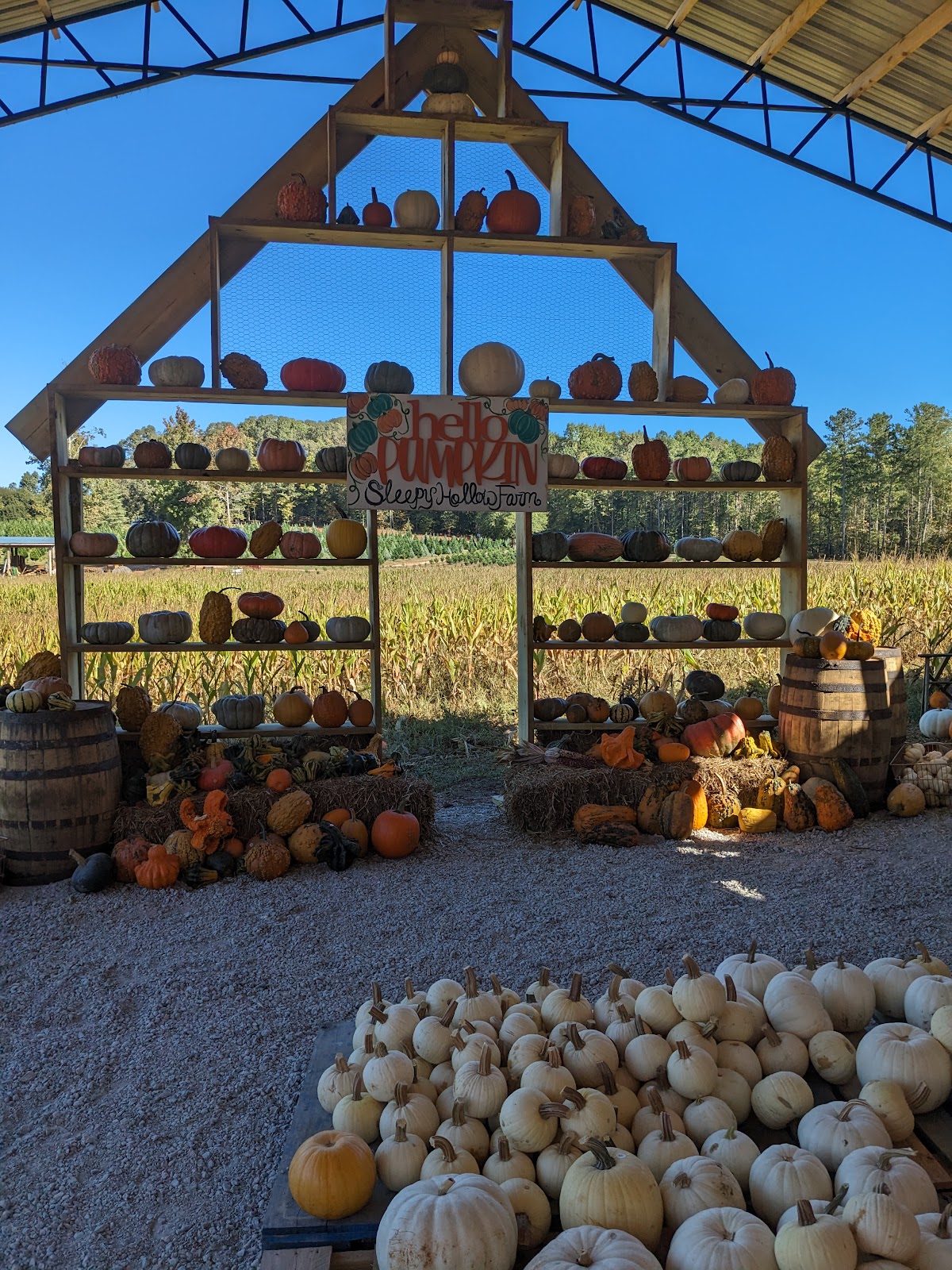 Sleepy Hollow Farm in Powder Springs, Georgia