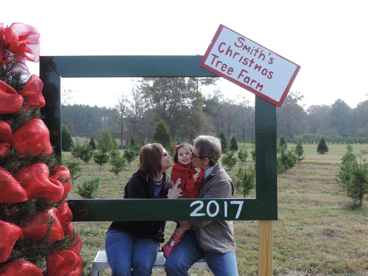 Smith tree farm in Moselle, Mississippi