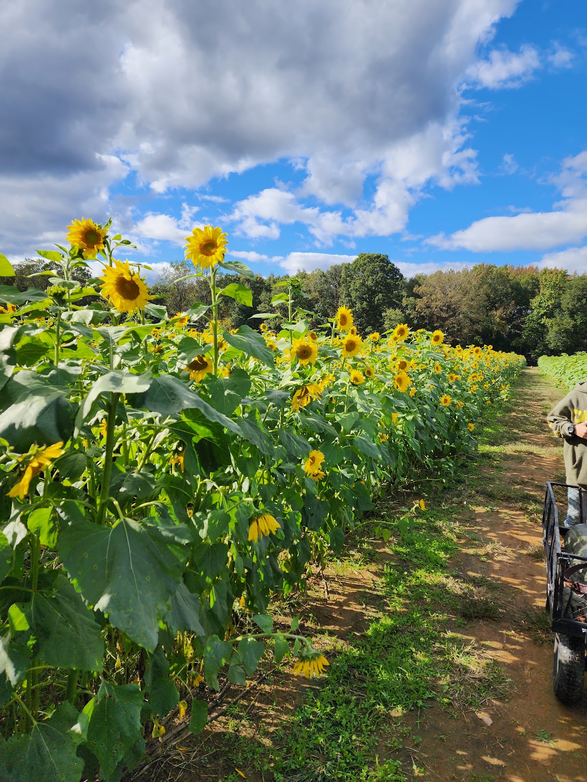 Snead's Farm in Fredericksburg, Virginia