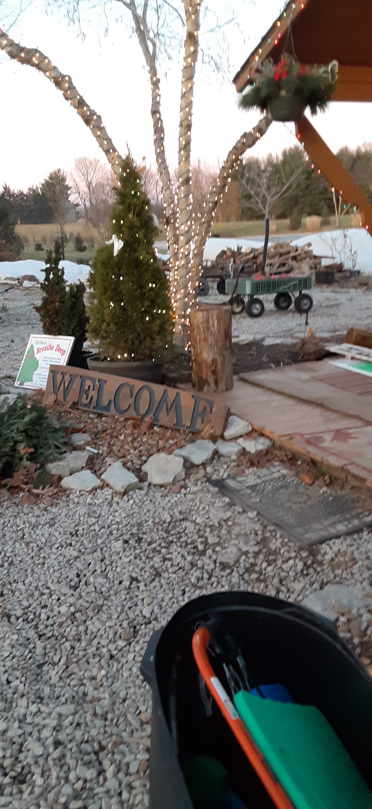 Snowy Pines Nursery-Christmas in Greencastle, Indiana