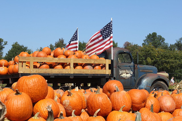 Southern Belle Farm in McDonough, Georgia