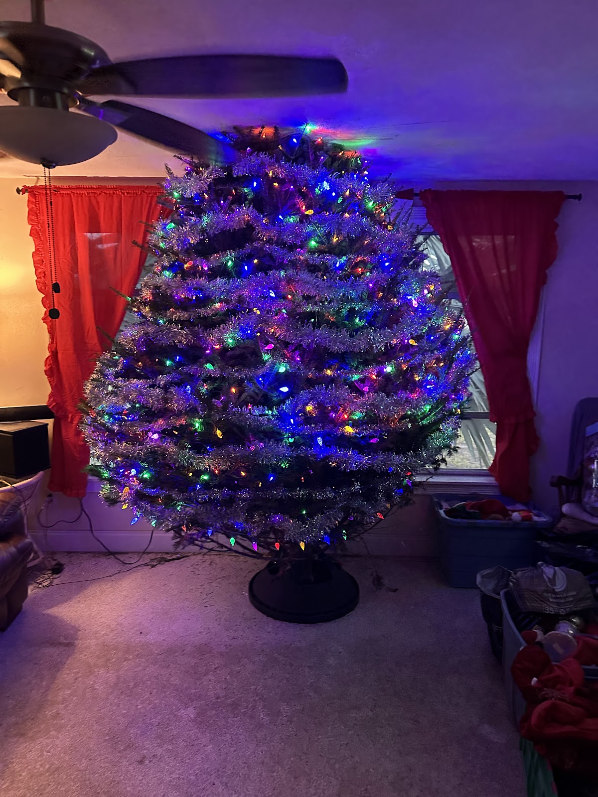 Southwest Florida Christmas Trees - Venice in Venice, Florida