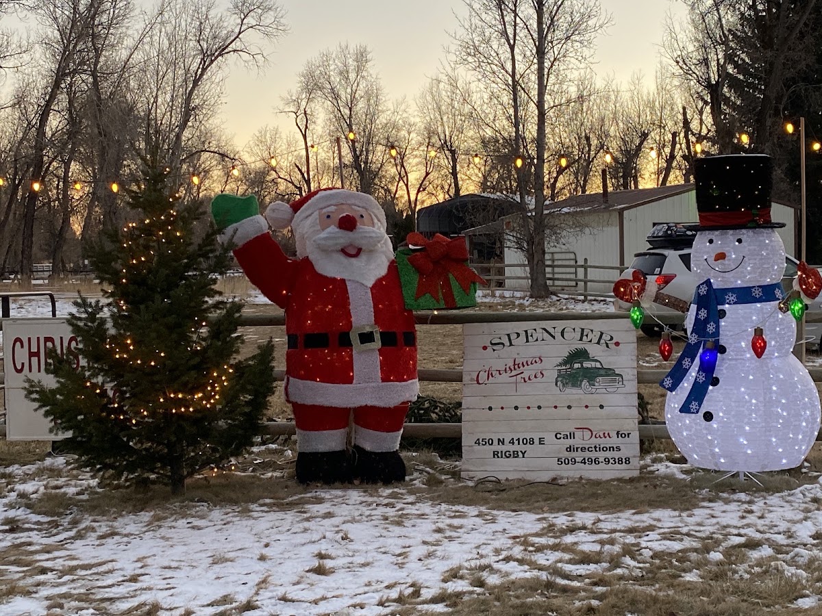 Spencer Christmas Trees in Rigby, Idaho