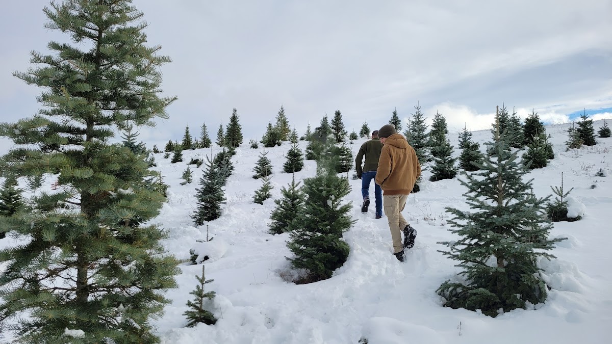 Spring Valley Family Tree Farm in Troy, Idaho