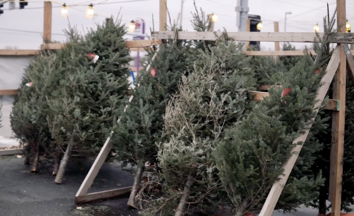St. Paul's Christmas Tree Lot in St. Louis, Missouri