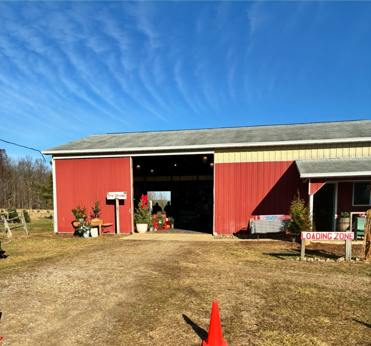 Star Tree Farm in Mason, Michigan