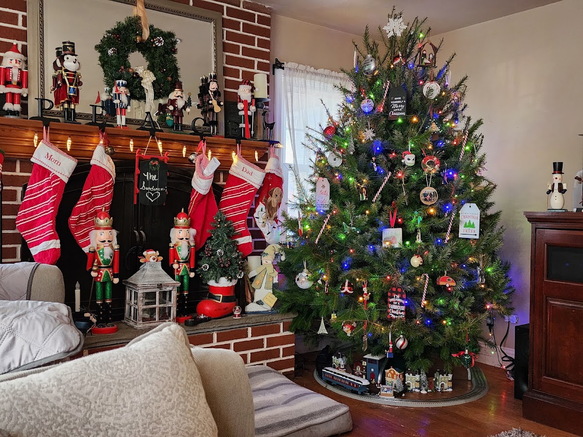 Starlyte Christmas Tree Farm in Douglassville, Pennsylvania