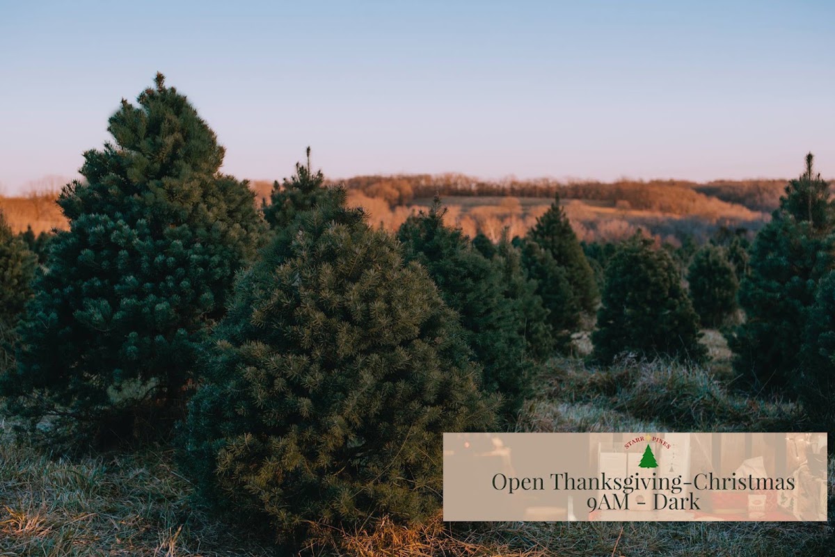 Starr Pines in Boonville, Missouri