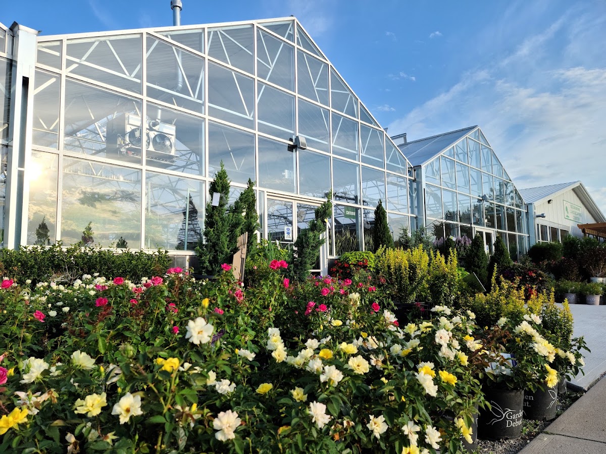 Steinbrink Landscaping and Greenhouses in Kearney, Nebraska