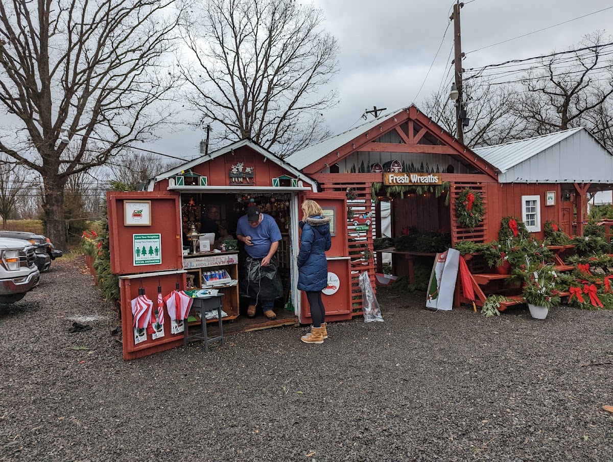 Stout Christmas Trees in Fountainville, Pennsylvania