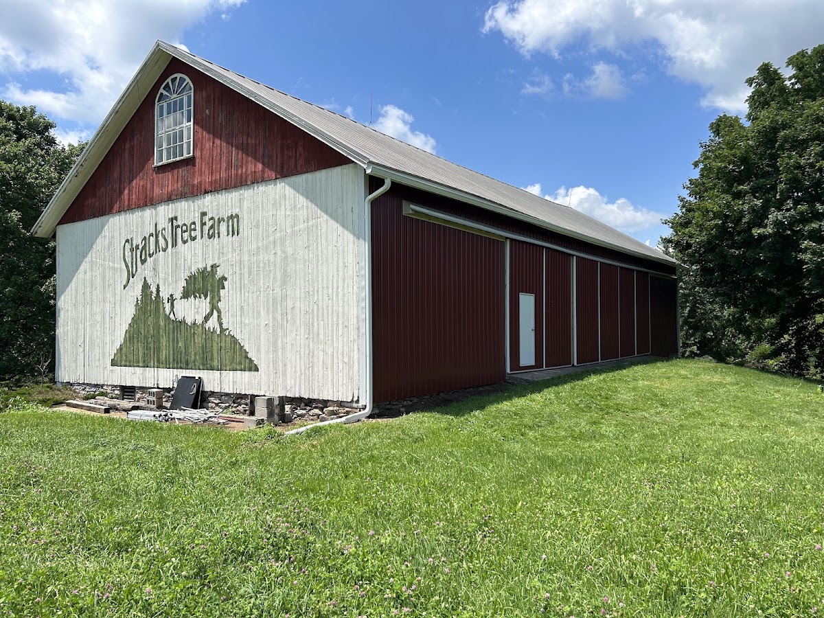 Stracks Tree Farm in Myerstown, Pennsylvania