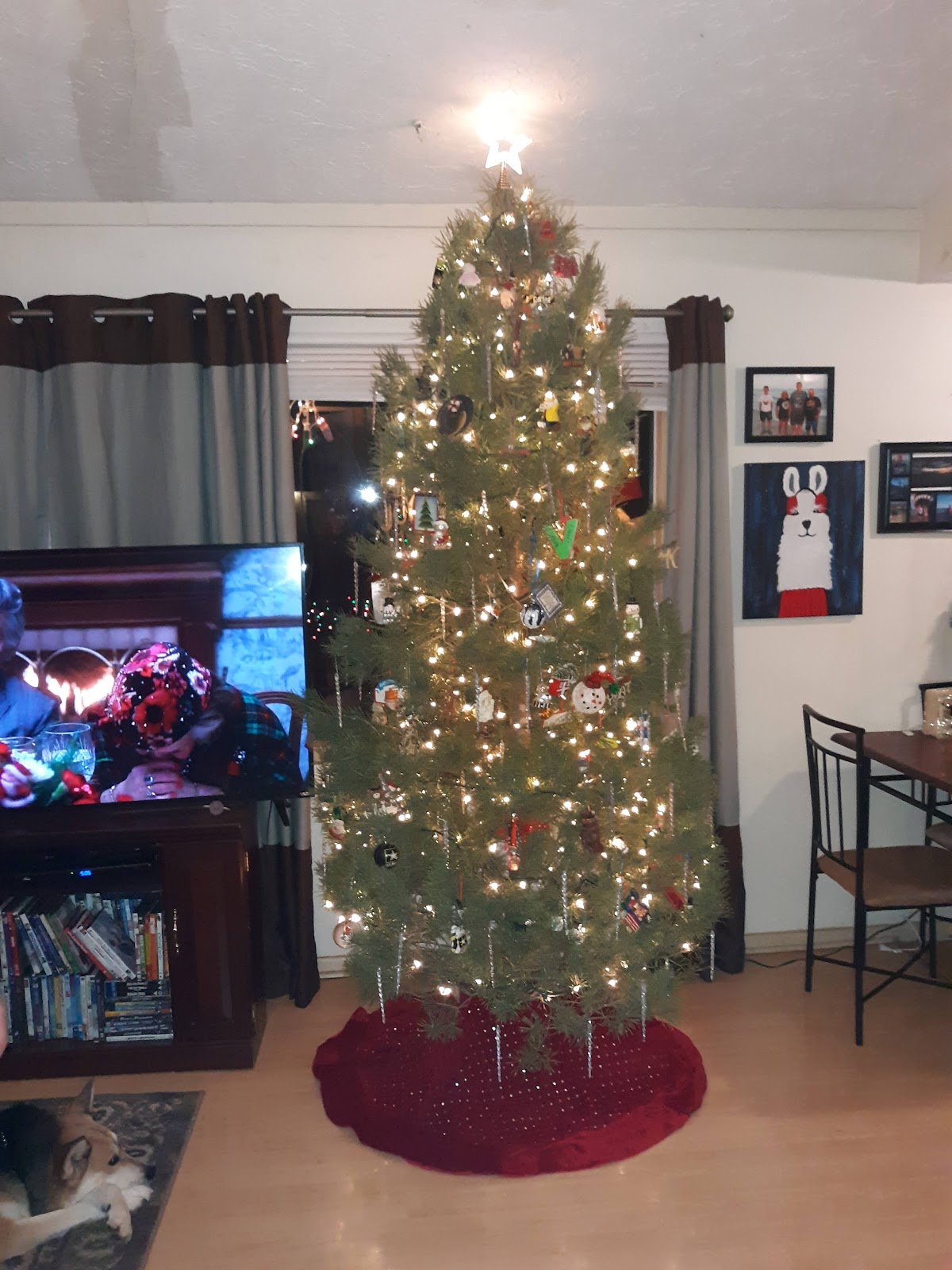 Strawberry Hill Christmas Tree Farm in Lawrence, Kansas