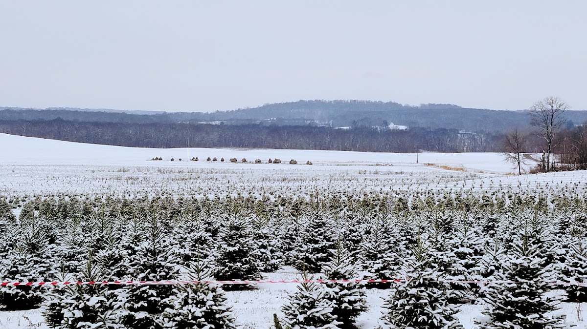 Sugargrove Tree Farm Inc in Ashland, Ohio