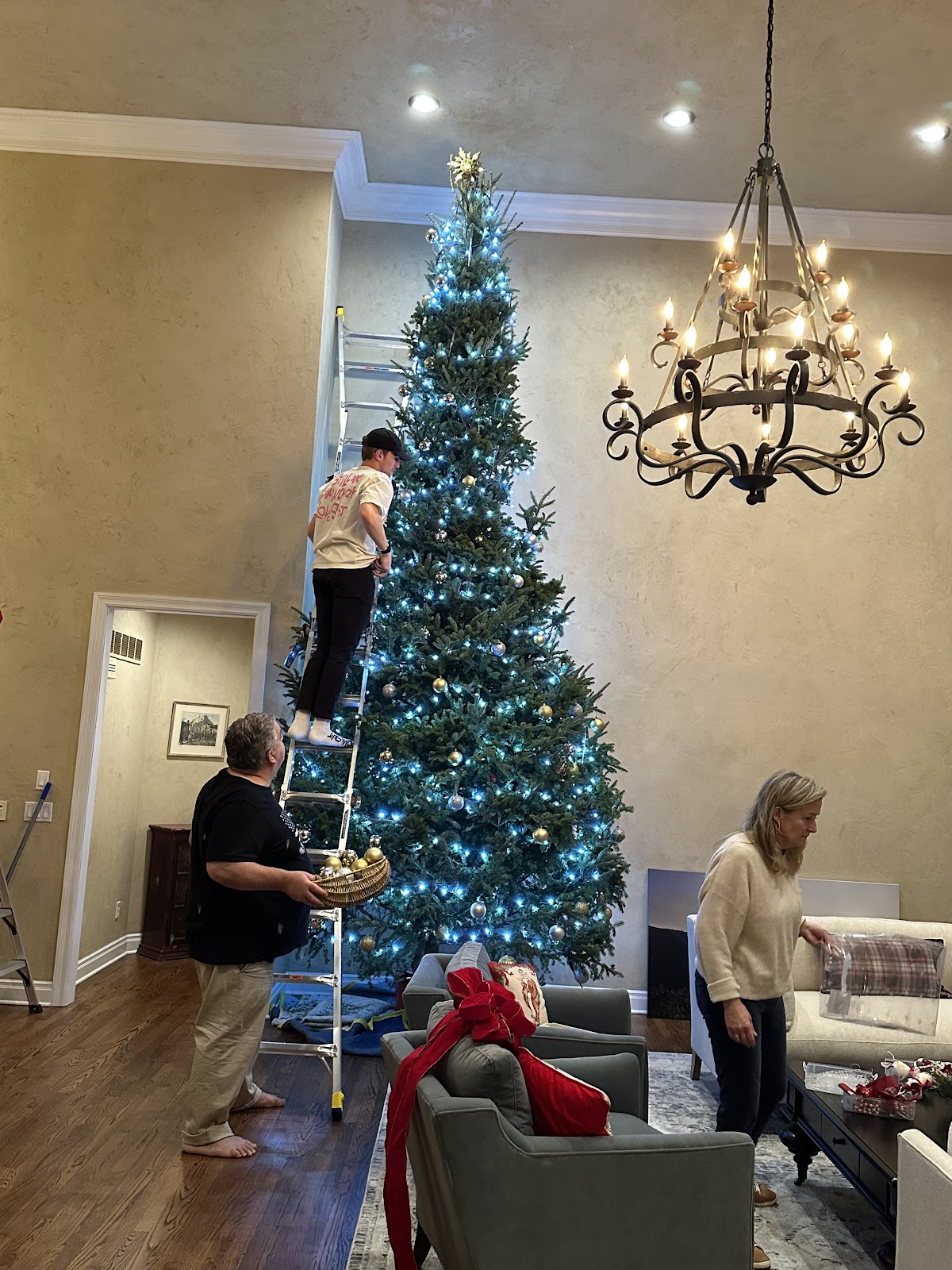 SULLIVAN FARMS CHRISTMAS TREES in Ballwin, Missouri