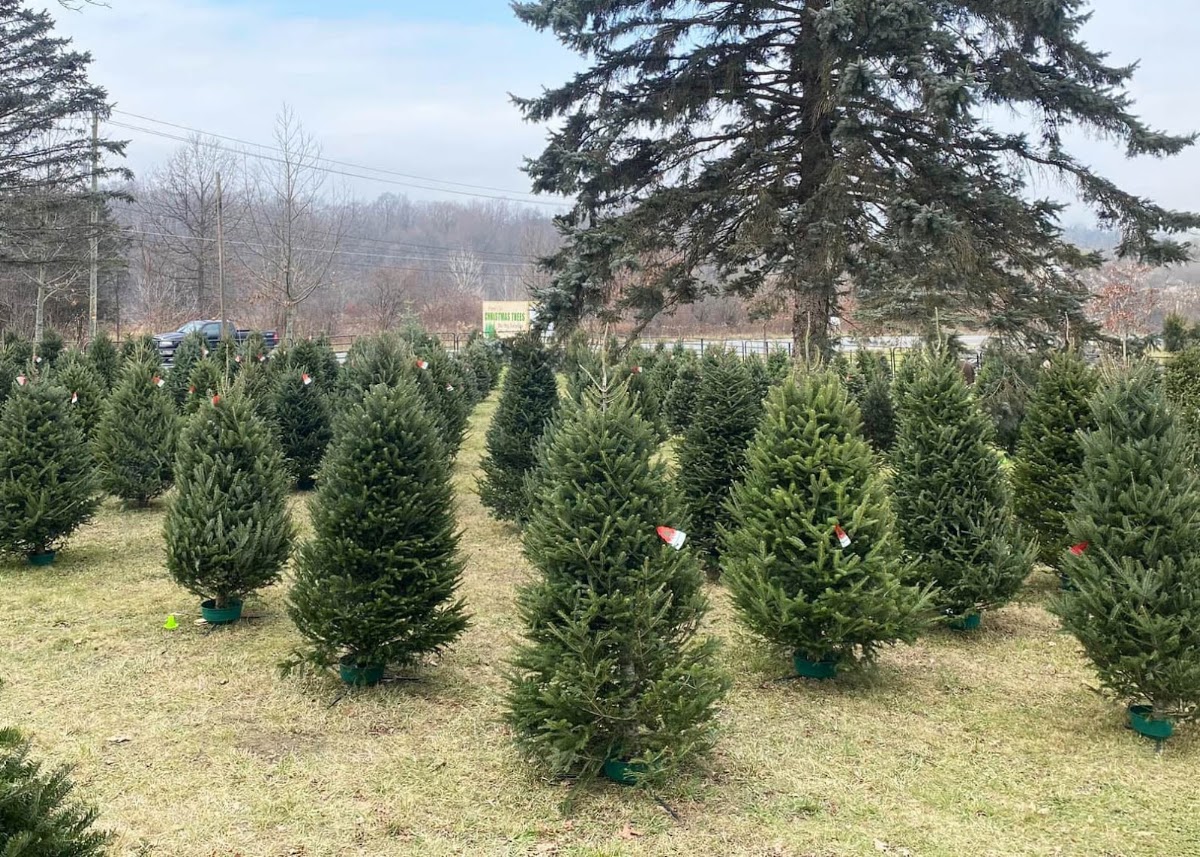 Summit View Farm in Goshen, New York
