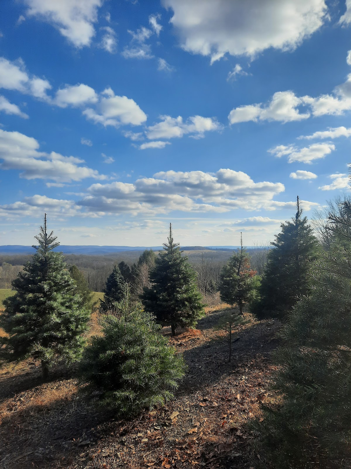 Sunny Hill Farm in Wantage, New Jersey