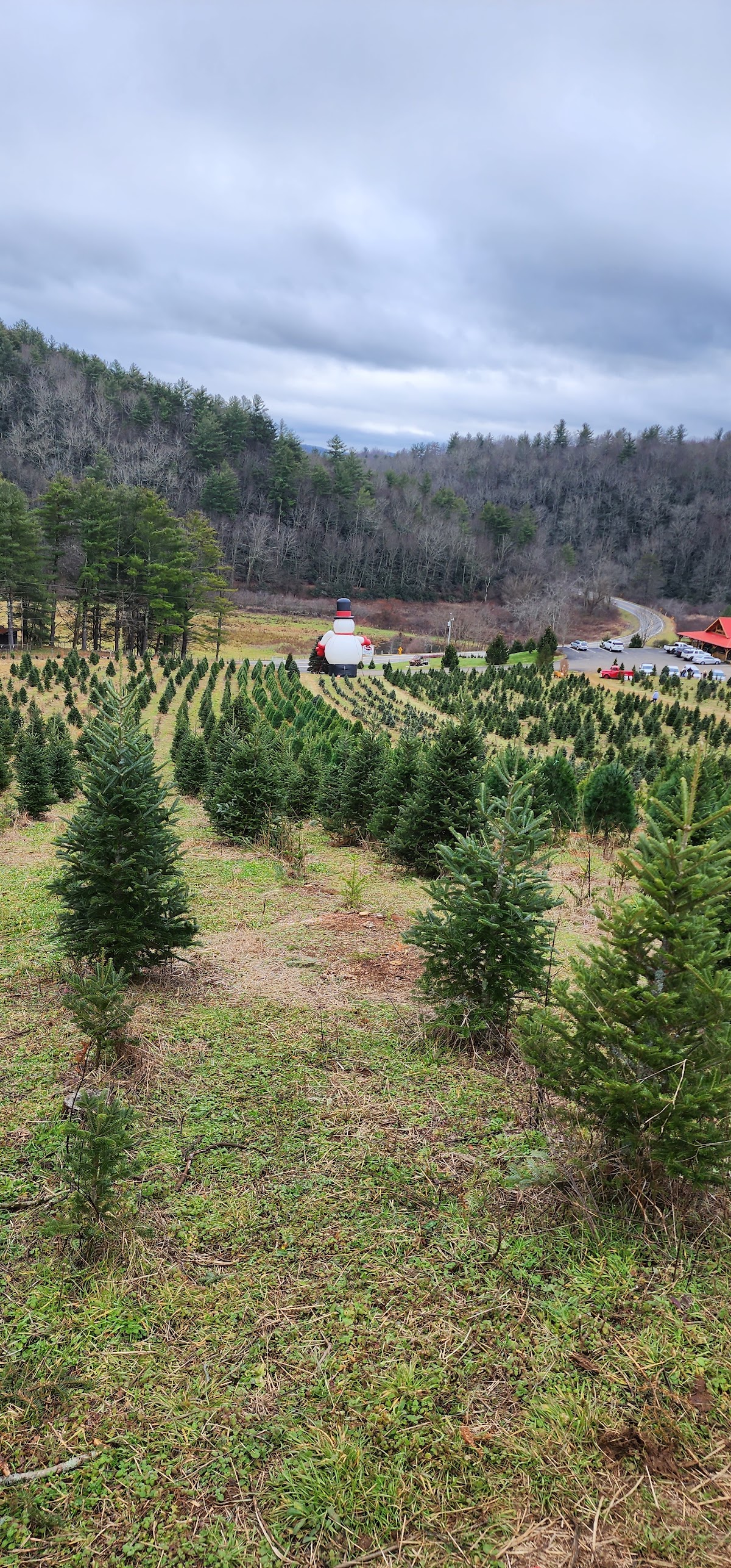Sweet Providence Farm in Floyd, Virginia