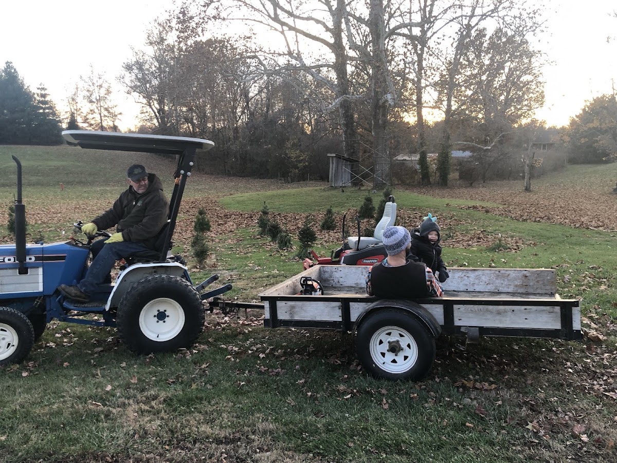 Sycamore Valley Tree Farm in Evansville, Indiana