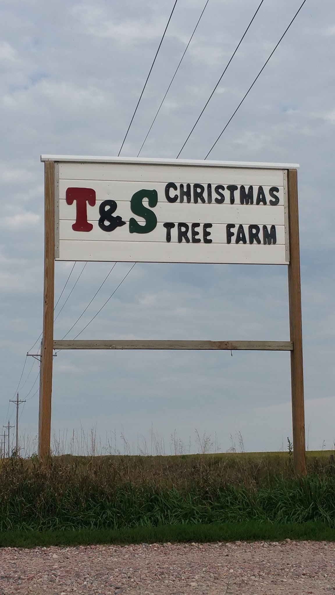 T&S Christmas Tree Farm .. Ireton -Craig-C12 in Hawarden, Iowa
