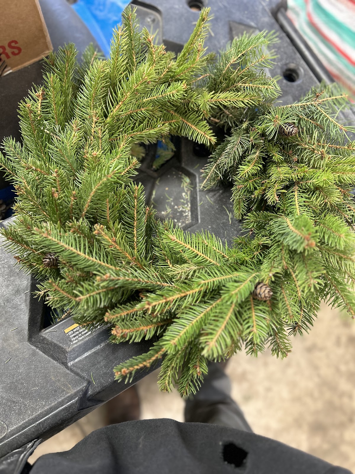 Tannenbaum Christmas Tree Farm in Milford, Iowa