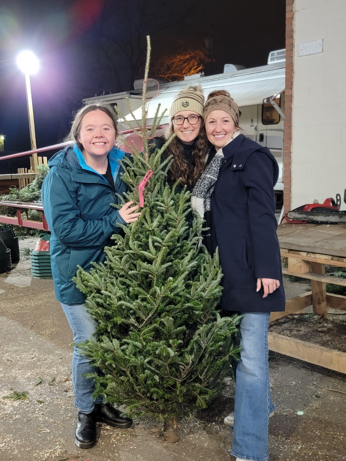 Taylor Christmas Trees Farm in Columbus, Ohio