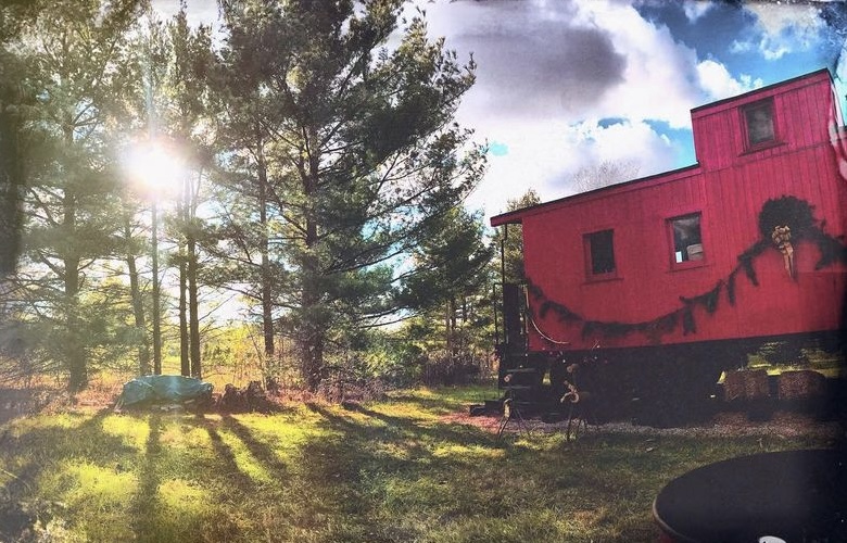 Taylor Tree Farm in Sunbury, Ohio